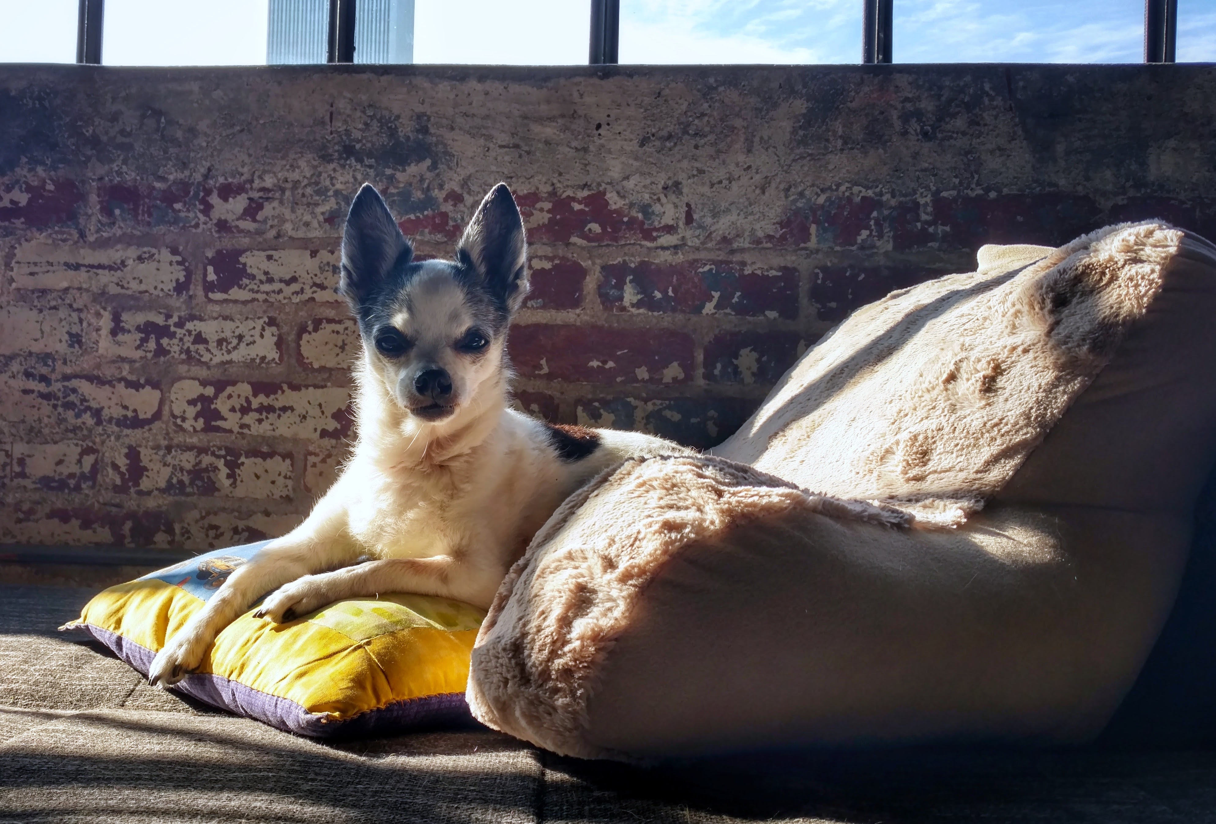 IMG_20170821_090218328_HDR-01